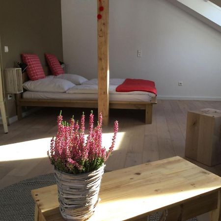 Erikas Haus Daire Münstertal Dış mekan fotoğraf