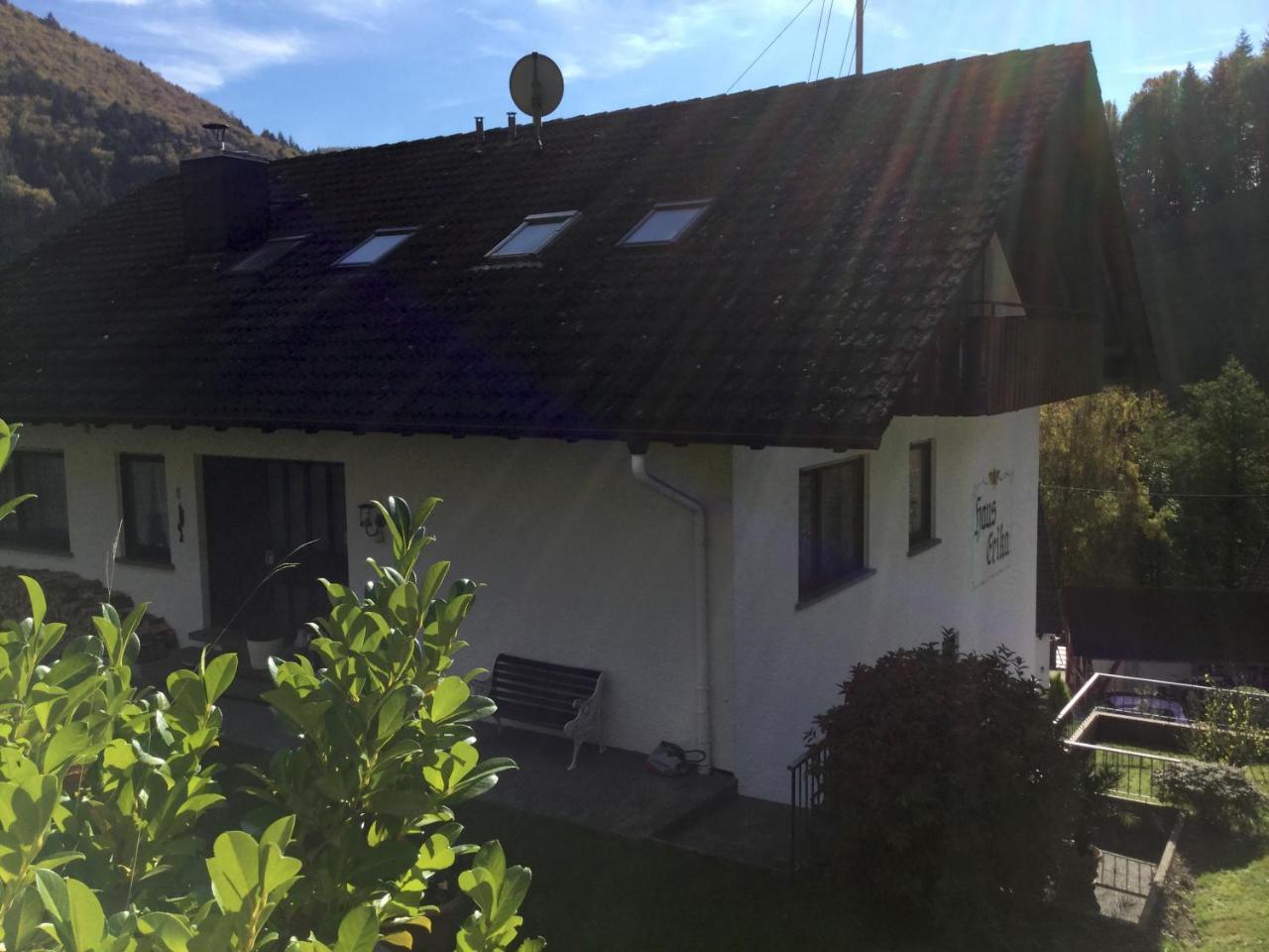 Erikas Haus Daire Münstertal Dış mekan fotoğraf