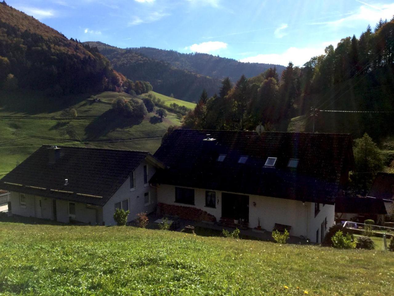 Erikas Haus Daire Münstertal Dış mekan fotoğraf