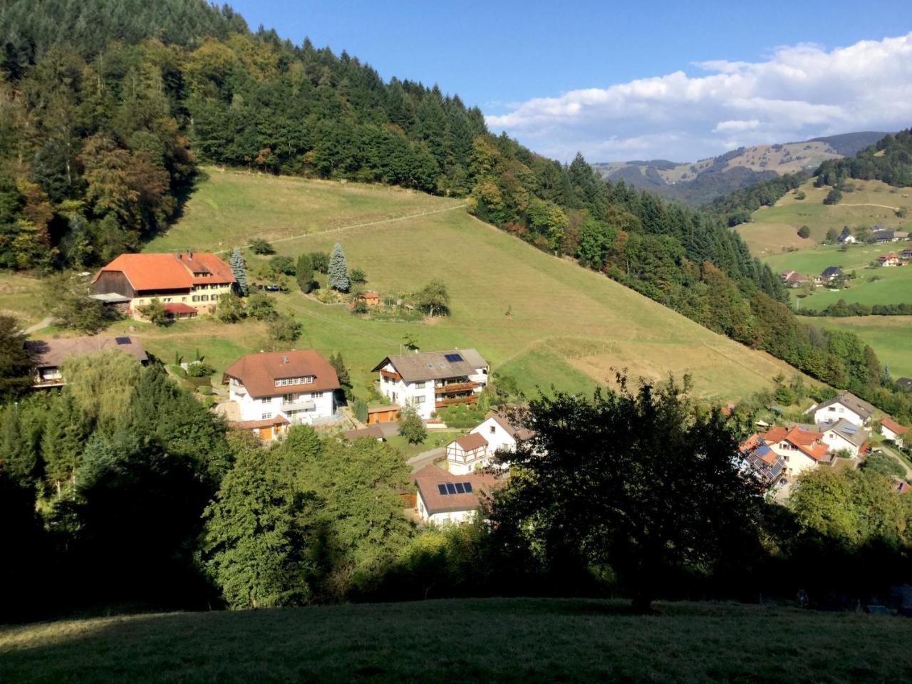 Erikas Haus Daire Münstertal Dış mekan fotoğraf