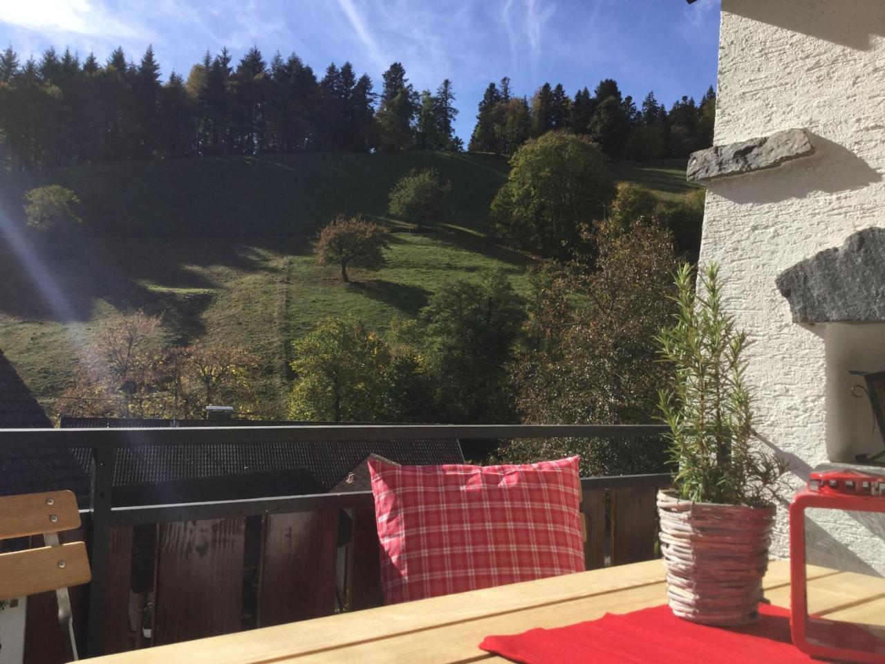 Erikas Haus Daire Münstertal Dış mekan fotoğraf