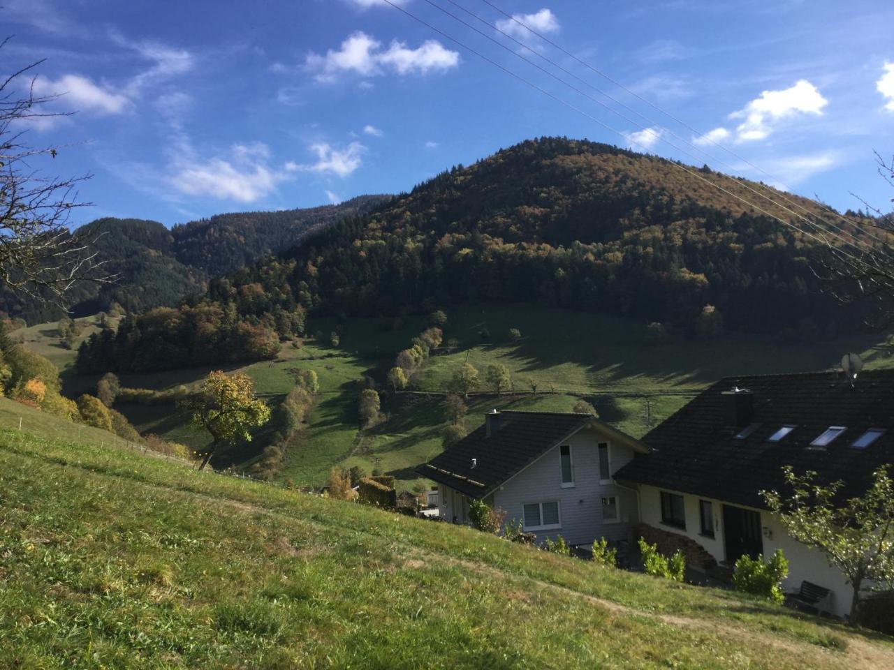 Erikas Haus Daire Münstertal Dış mekan fotoğraf