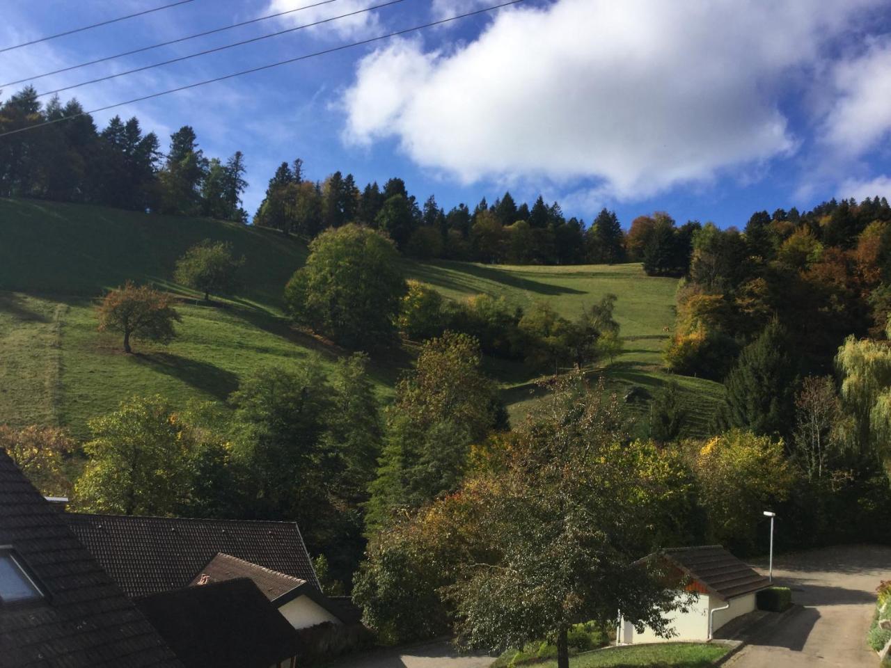 Erikas Haus Daire Münstertal Dış mekan fotoğraf