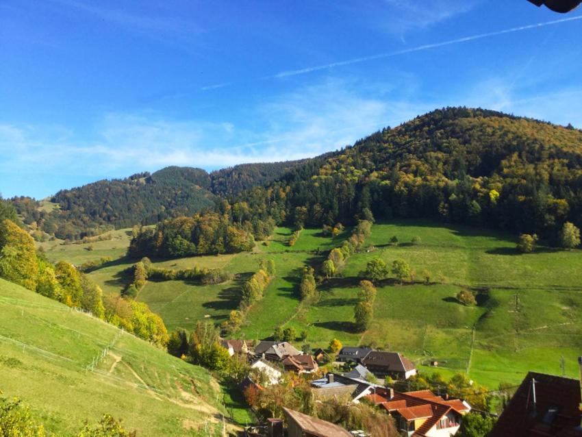 Erikas Haus Daire Münstertal Dış mekan fotoğraf