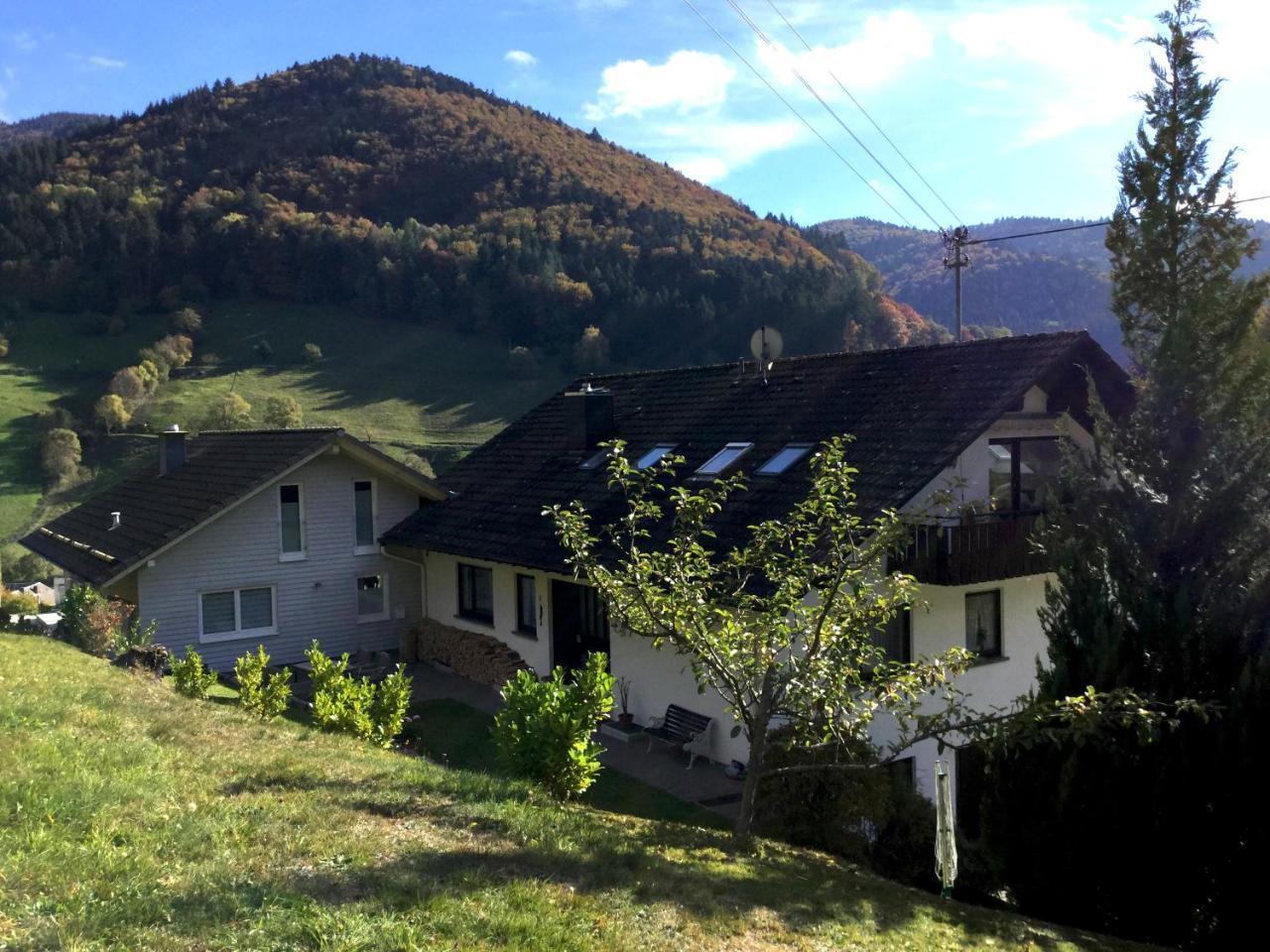 Erikas Haus Daire Münstertal Dış mekan fotoğraf