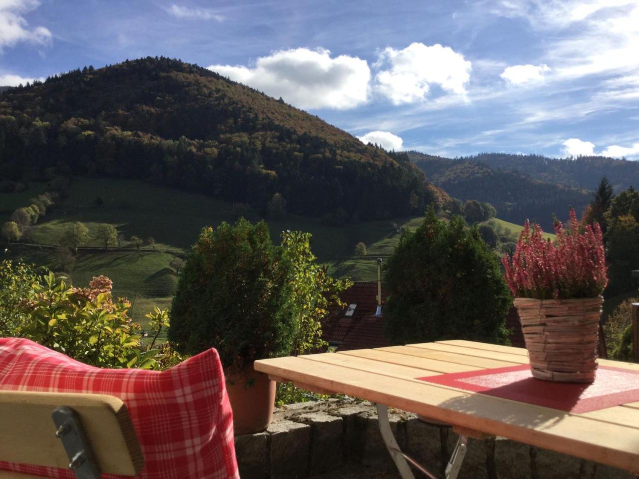 Erikas Haus Daire Münstertal Dış mekan fotoğraf
